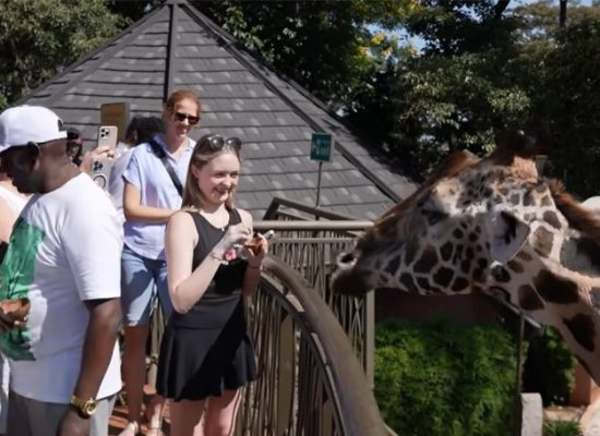 Nature walks & hiking on Africa safari