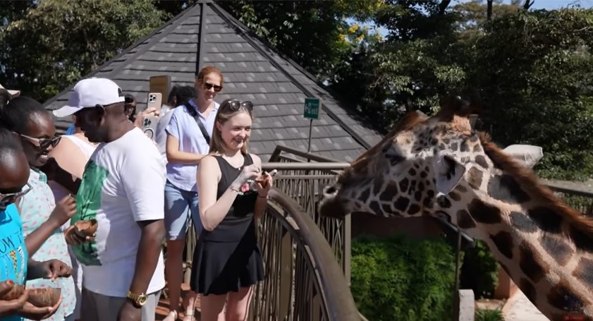 Nature walks & hiking on Africa safari