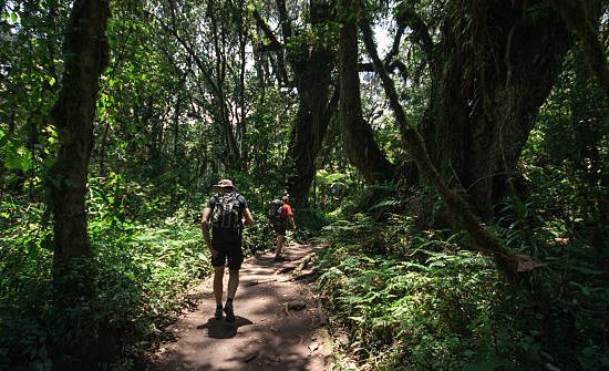 Nature walks & hiking on Africa safari