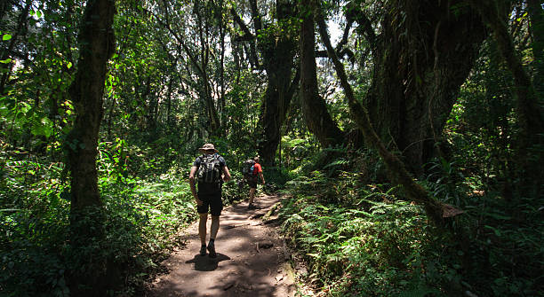 Nature walks & hiking on Africa safari