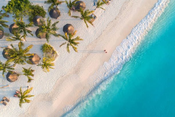 Zanzibar vacations & holidays