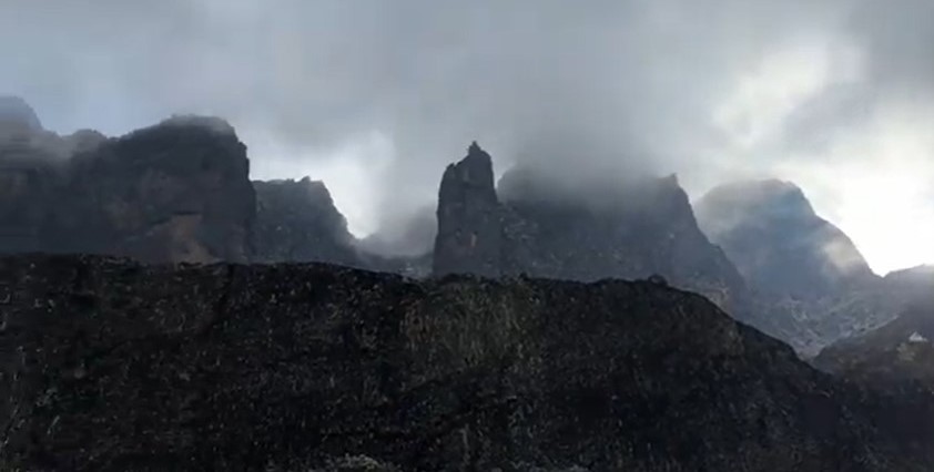 Great Mountain Rwenzori trekking experiences, wildlife & primates safaris.