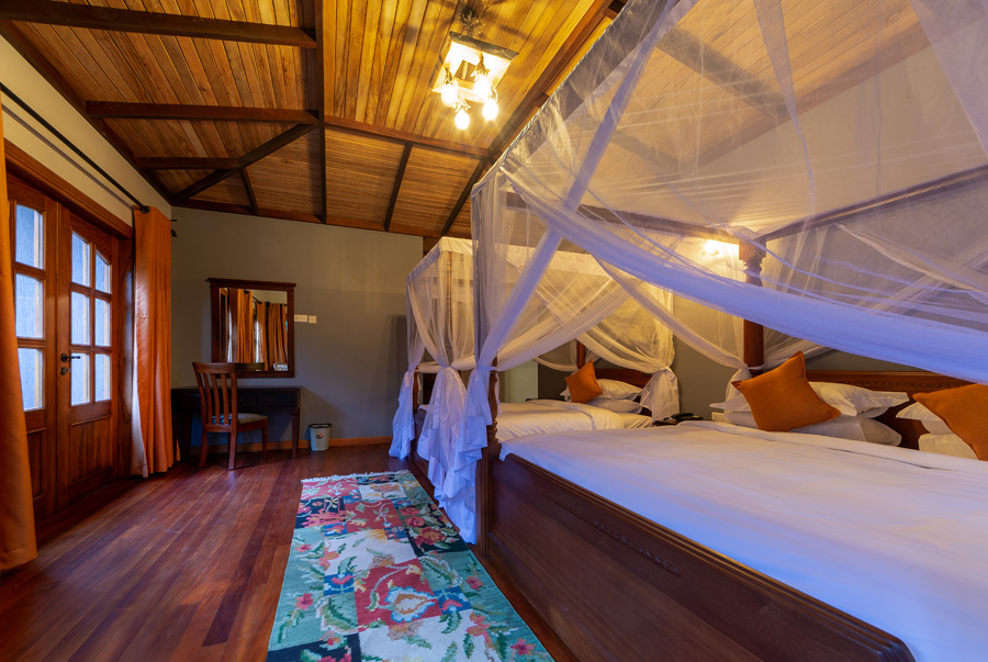 Kibale chimpanzees national park- Chimpundu lodge