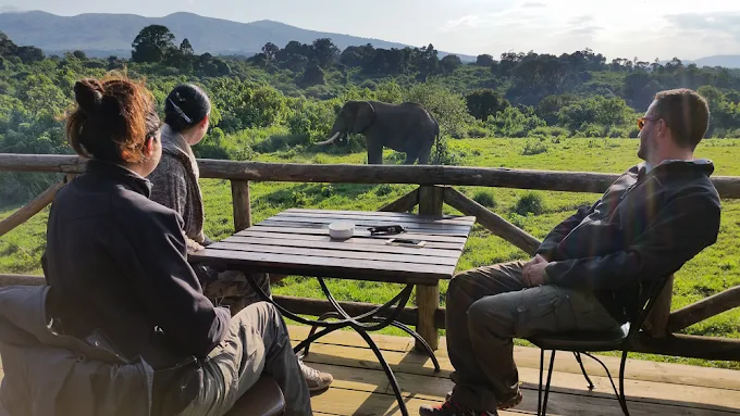 Ngorongoro crater national park