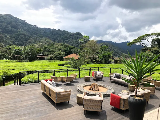 Nyungwe forest national park lodges