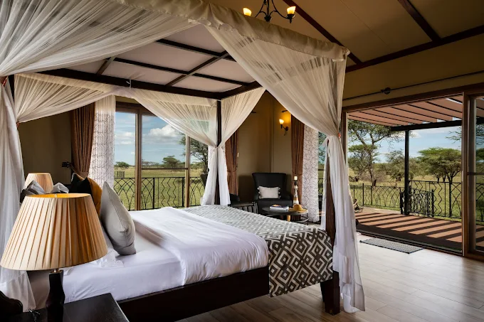 Serengeti national park, Tanzania