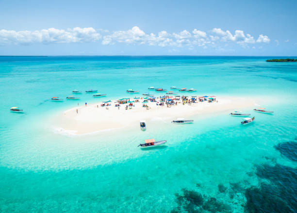 Zanzibar island- safari blue experience