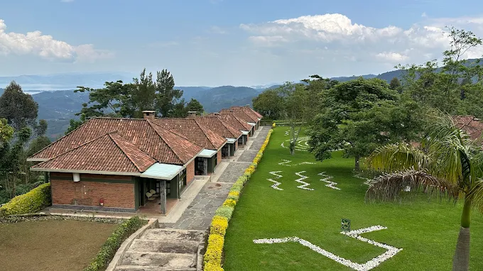 Nyungwe forest national park