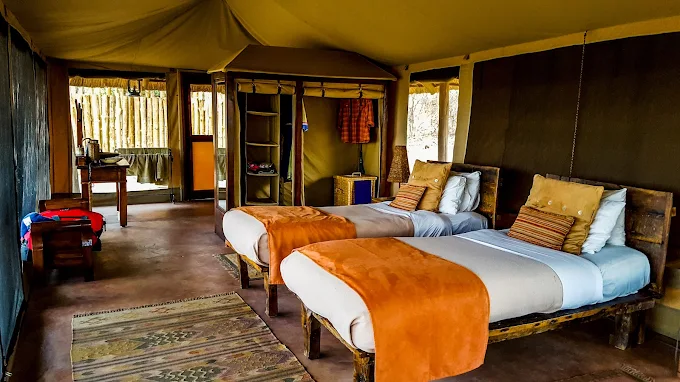 Tarangire national park