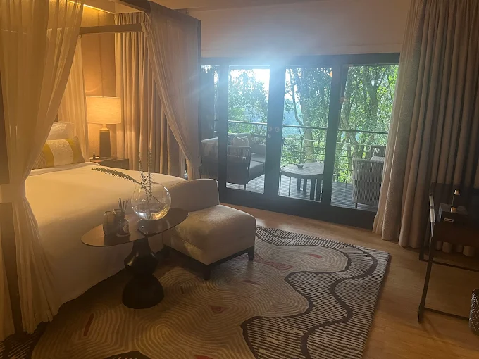 Nyungwe forest national park