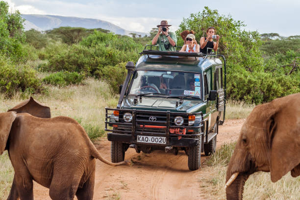 safari game drives