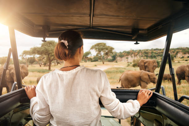 Solo travel safari packages