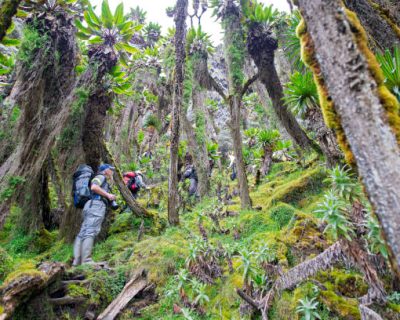 7 days wildlife itinerary