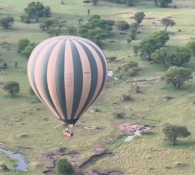 Gorilla trekking safari and Africa vacation packages