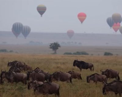 Masai mara Hot air balloons