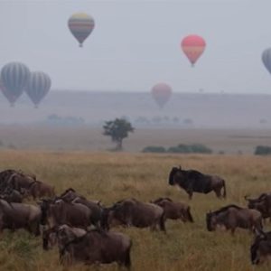 air balloons trips