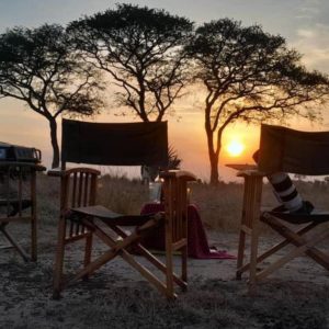 Top 5 Kenya safaris