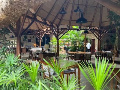city restaurants with local & exotic food cuisines City tours on African safaris