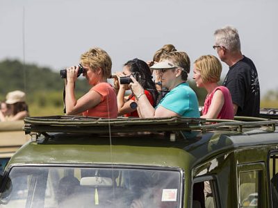 Wildlife viewing in Africa. Foreign people are watching wild life with 4x4 car with binoculars and cameras. They are watching and photographing from wild life.