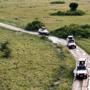 Best 2025- 2026 Safari Game Drives