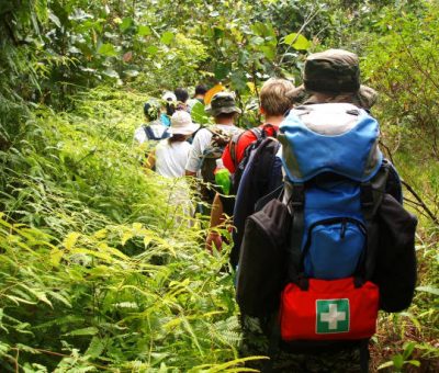 Jungle trekking in a tropical rain forest.
