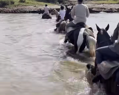 horse ride