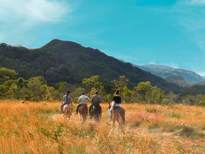 horseback rides national-park- horseback rides national-park-