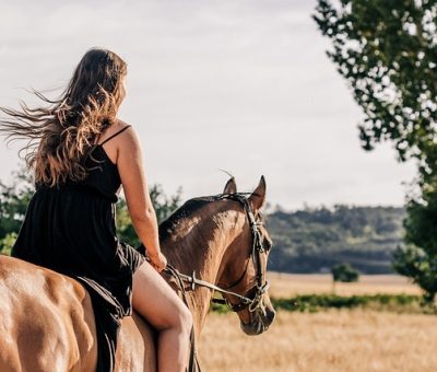 horseback-riding safari horseback-riding safari