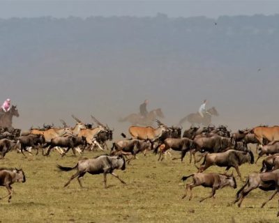 horseback tours