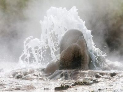 Uganda gorilla trekking & wildlife safaris