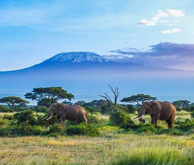 Mountain Kilimanjaro national park tours and hiking