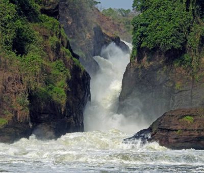 Uganda gorilla trekking & wildlife safaris