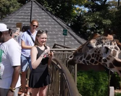 nairobi animal orphanage