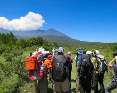 Nature walks & hiking on Africa safari