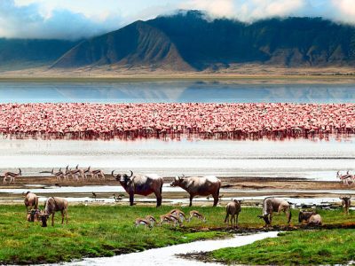 The African wildlife. Beautiful view of Lake in Ngorongoro Crater, Tanzania.