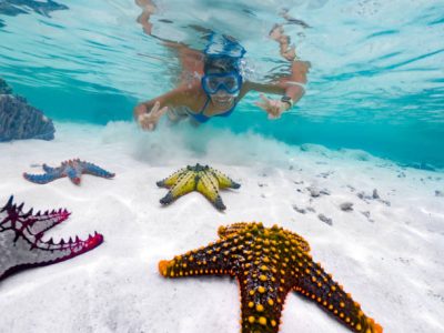 Happy Adult Woman Snorkeling on Tropical Vacations and Finding Exotic Starfish.