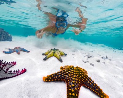 Happy Adult Woman Snorkeling on Tropical Vacations and Finding Exotic Starfish. Happy Adult Woman Snorkeling on Tropical Vacations and Finding Exotic Starfish.