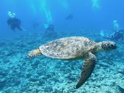 6 days safari itinerary in Tanzania