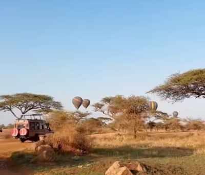 serengeti balloons