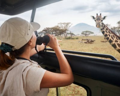 Solo safari travel