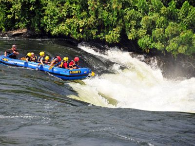 Gorilla trekking safari and Africa vacation packages